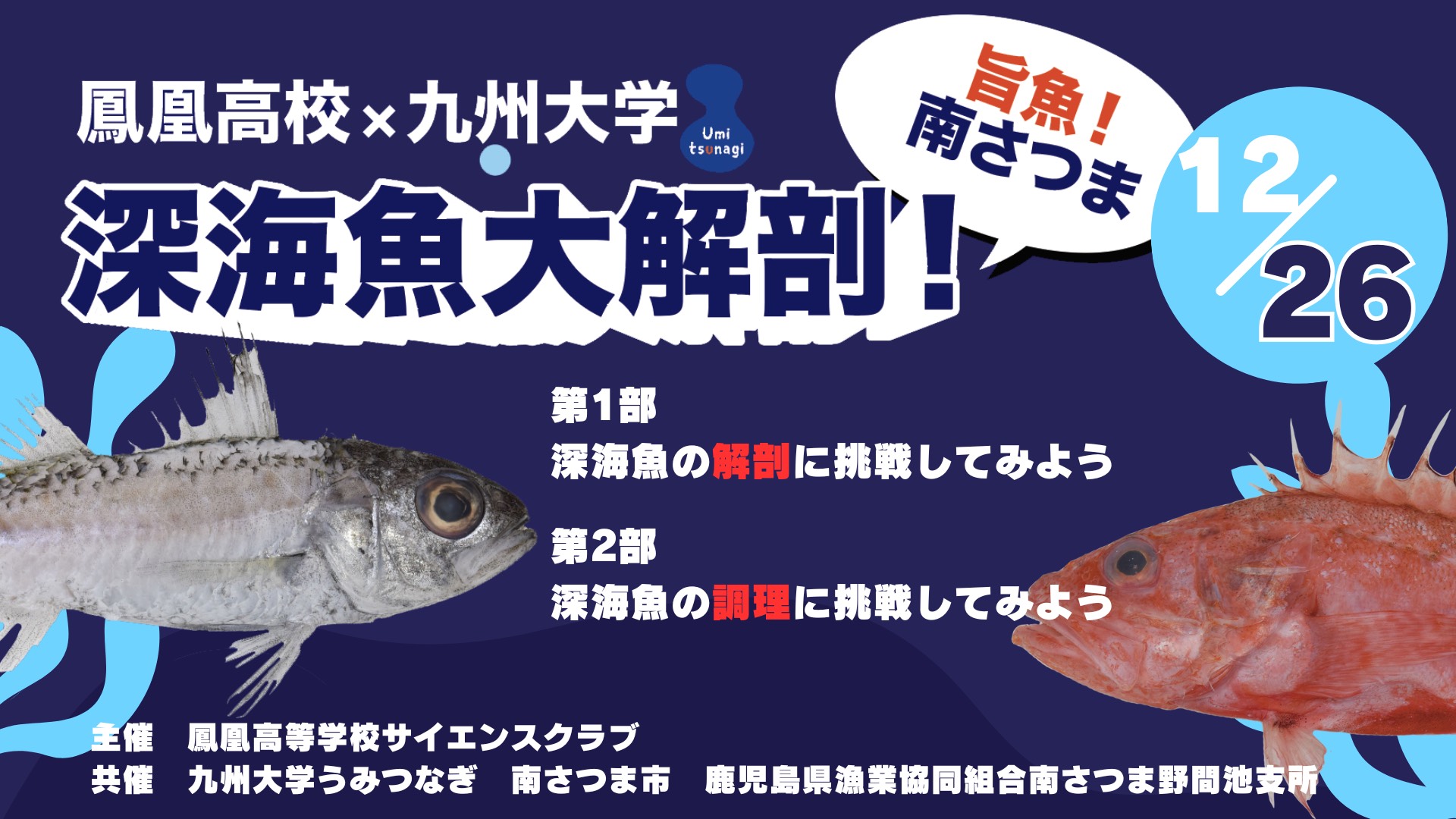 2024年12月26日】「鳳凰高校×九州大学 旨魚！南さつま 深海魚大解剖